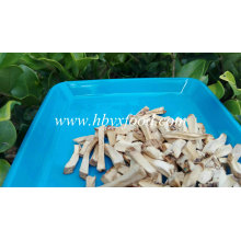 Ad Drying Process Dehydrated Shiitake Mushroom Stem Granules